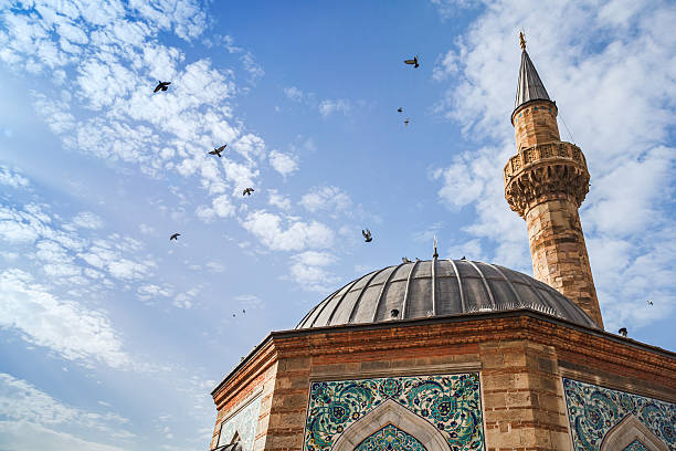 palomas volar sobre antigua camii mezquita, izmir - pájaro azulejo fotografías e imágenes de stock