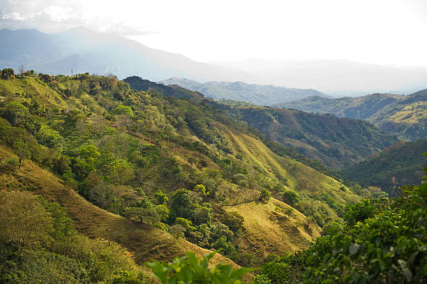 istock Mountains in Costa Rica 515011399