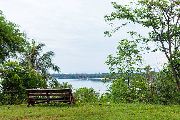 istock wooden chair 515011407