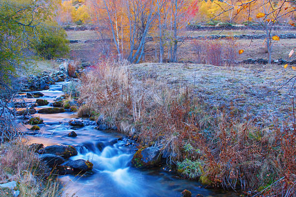 fall color in Esterri d'Aneu, Catalonia, Spain
