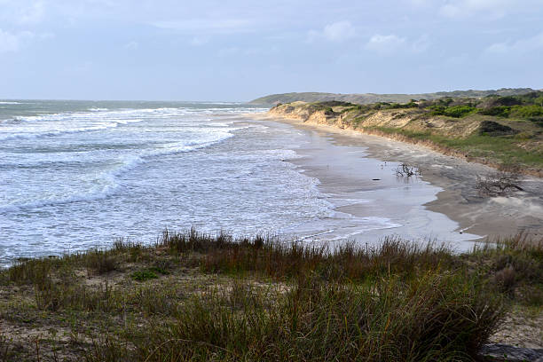 istock Cerro verde national park, Uruguay 515013480