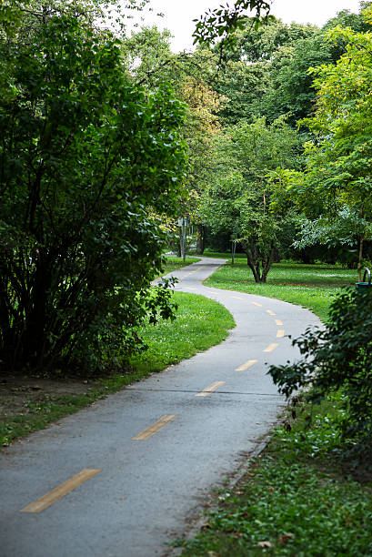 istock Bike and pedestrian path in the park 515015357