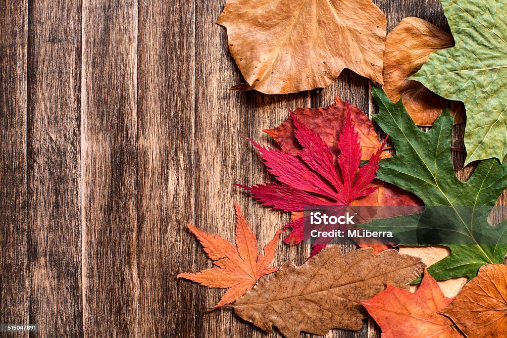 Autumn leaves on wooden  background. Autumn Stock Photo