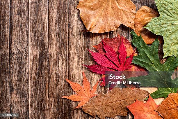Autumn Leaves On Wooden Background Stock Photo - Download Image Now - Autumn, Backgrounds, Brown
