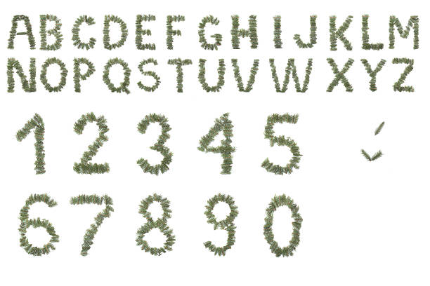 istock Christmas or nature alphabet made from needles isolated on white 515050719