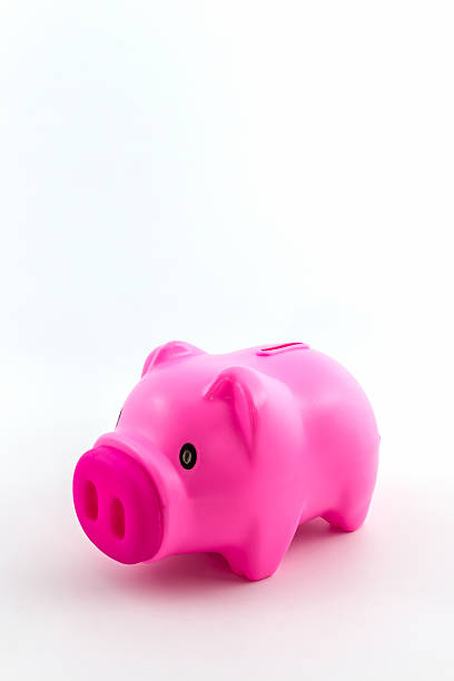 istock Pink piggy bank saving . 515051159