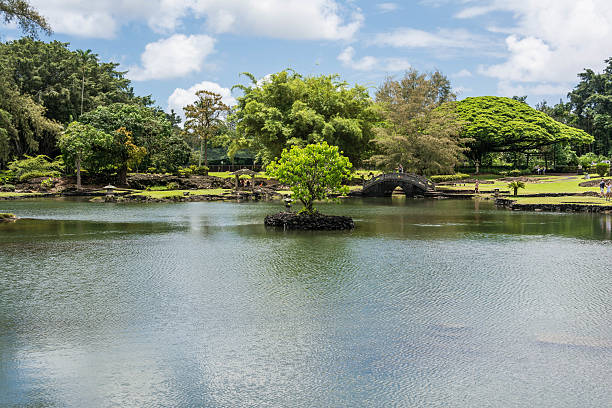 istock The Japanese Gardens in Hilo, Hawaii 515051205