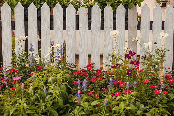 istock White fence with flowers 515053091
