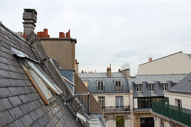 view over the roofs of Paris, France