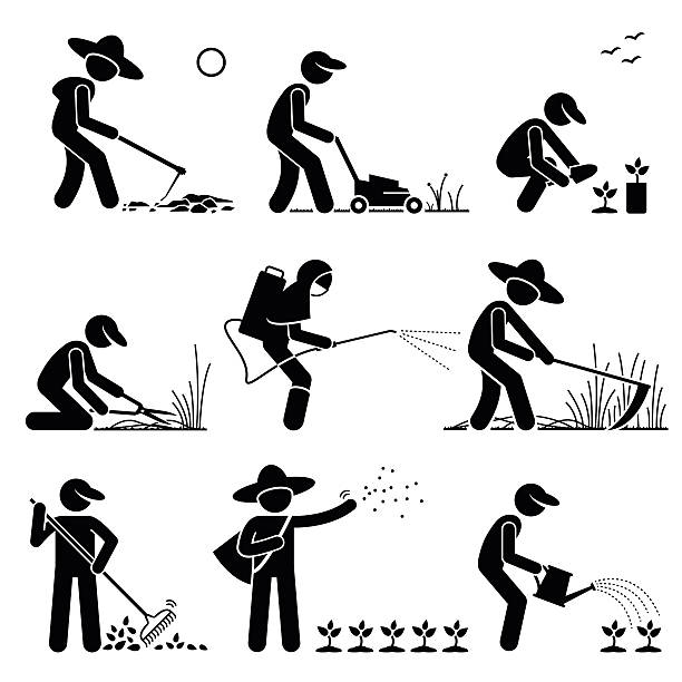 ilustrações de stock, clip art, desenhos animados e ícones de gardener e agricultor com ferramentas e equipamento de jardinagem - water weed