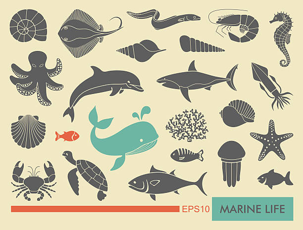 Мarine life icons Silhouettes of sea inhabitants. Vector illustration saltwater eel stock illustrations
