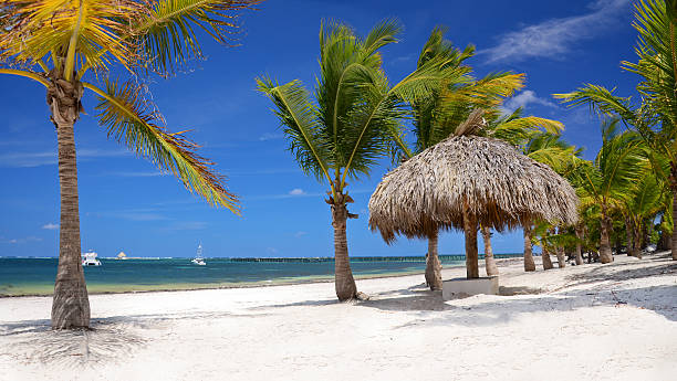 istock Tropical beach and beautiful clouds 515061944