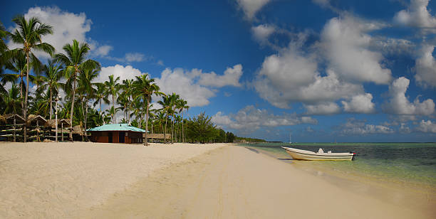 istock Exotic Beach in Dominican Republic, Punta Cana 515062050