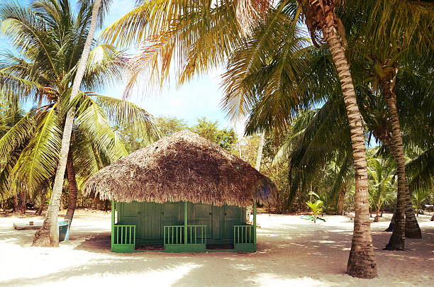 Palms and umbrellas on the background of the landscape.