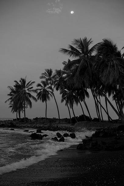 istock Moonrise on the Big Island 515064414