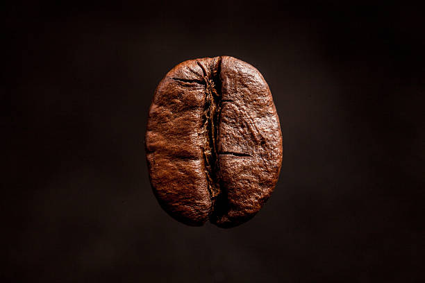 istock one coffee bean dark espresso on a black background 515064444
