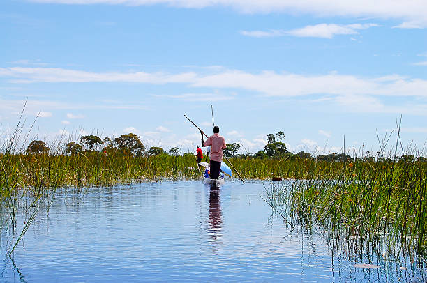 delta do okavango, em botsuana - makoro - fotografias e filmes do acervo