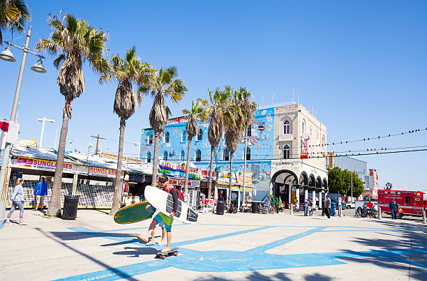 пляж venice beach boardwalk, лос-анджелес, калифор�ния - palm tree california city of los angeles venice beach стоковые фото и изображения