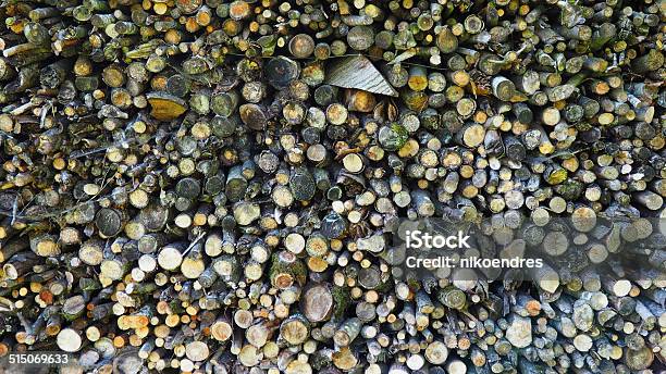 Textures Stock Photo - Download Image Now - Carbon Neutrality, Dry, Environmental Conservation