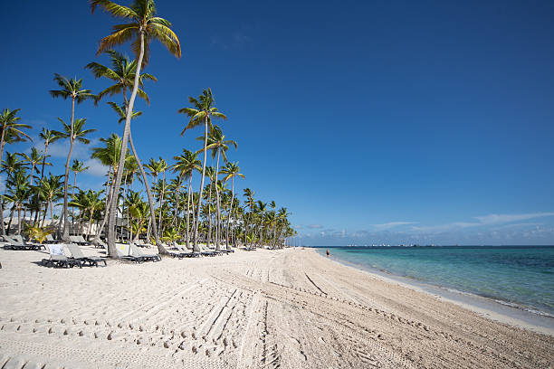 Plage des Caraïbes sur une journée ensoleillée - Photo