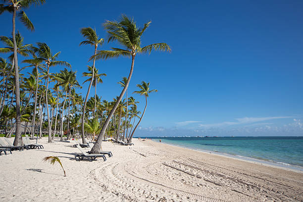 カリブ海の晴れた日のビーチ ストックフォト