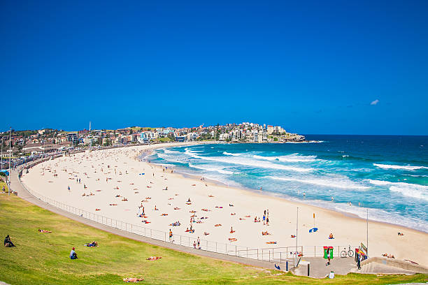People relaxing on the Bondi beach in Sydney, Australia. People relaxing on the Bondi beach in Sydney, Australia. Bondi beach is one of the most famous beach in the world. sydney stock pictures, royalty-free photos & images