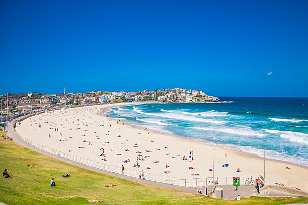 people relaxing on the bondi beach in sydney, australia. - sidney avustralya stok fotoğraflar ve resimler