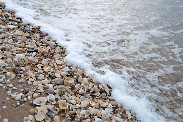 Beach stock photo