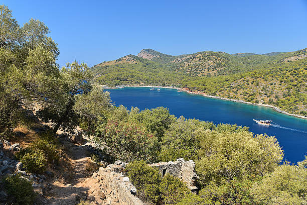 istock Details from St. Nicholas Island 515071701