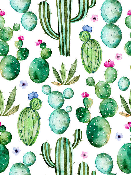 illustrazioni stock, clip art, cartoni animati e icone di tendenza di motivo senza interruzioni con piante di cactus acquerello - flower desert single flower cactus