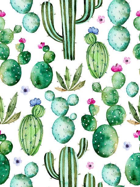 gładki wzór z akwarela kaktus roślin - cactus flower single flower plant stock illustrations