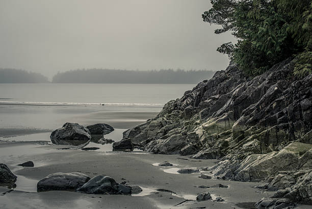 istock coast of tofino 515072826