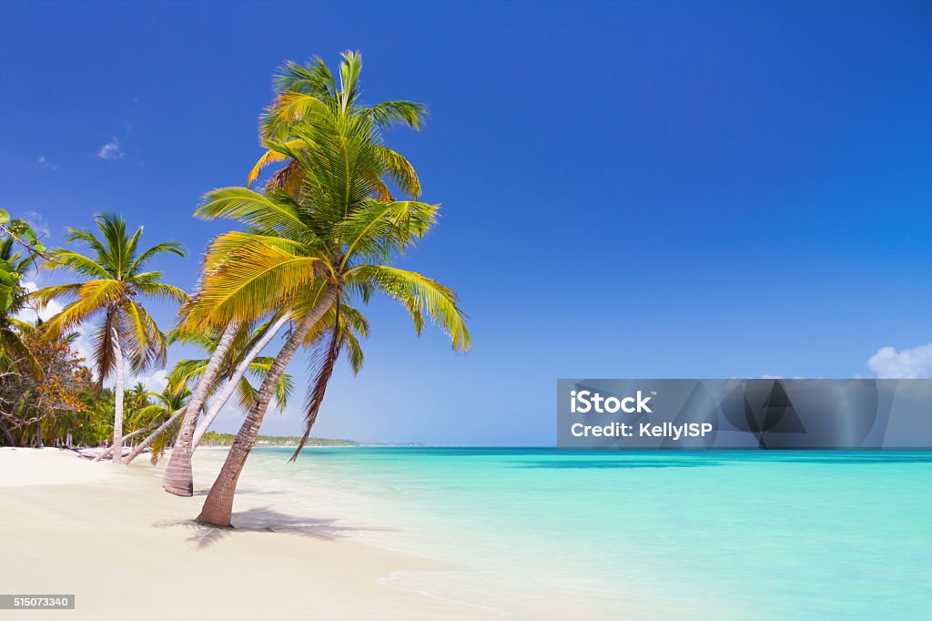 Tropical beach Tropical beach as a wild nature scenery in Punta Cana, Dominican Republic Caribbean Sea Stock Photo