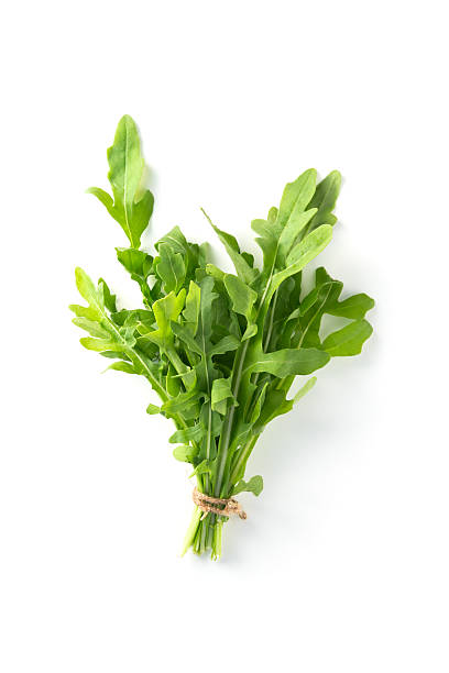 cacho frescos rúcula isolado em um fundo branco - arugula freshness food herb imagens e fotografias de stock