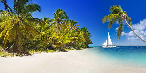 Tropical beach with palm trees and sailing boat under the clear blue sky, Punta Cana, Dominican Republic