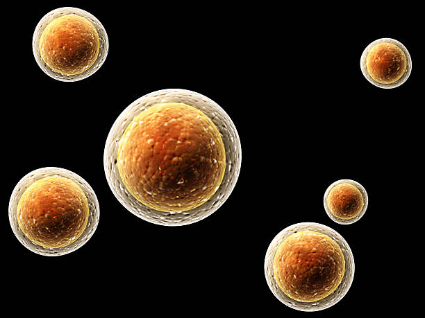 istock Colony of viruses 515076062