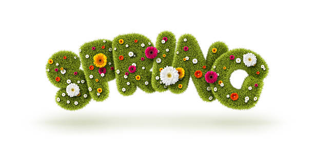 primavera de pasto e flores - alphabet design element text text messaging imagens e fotografias de stock