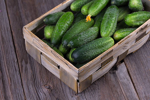 istock Cucumbers on a wooden background. 515078676