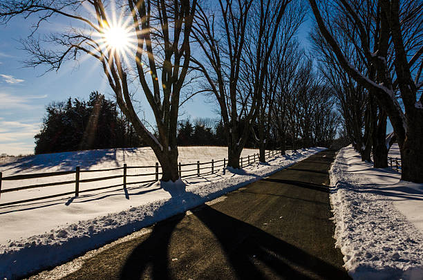A road with sunset leading to Ash Lawn-Highland, Home of President James Monroe, located in Albemarle County, Virginia.