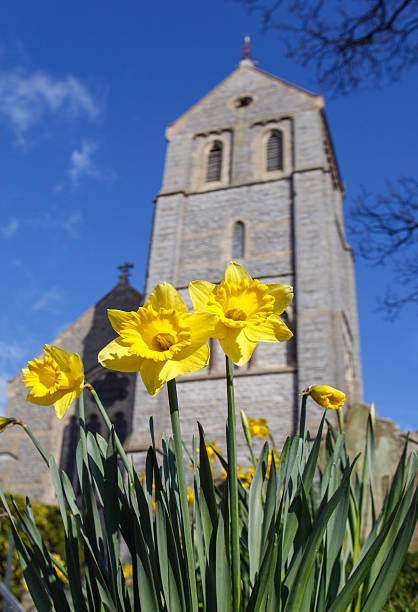 Close-up of Daffodils with a Church Behind