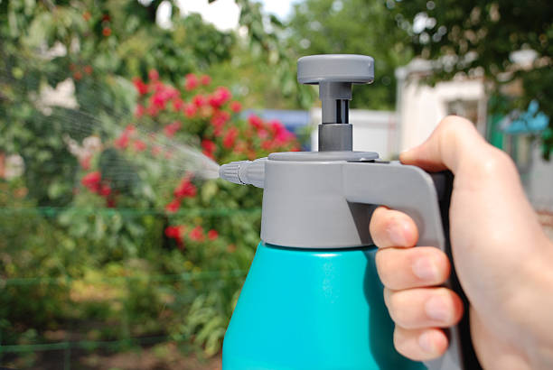 istock Male hand holding spray bottle 515083356