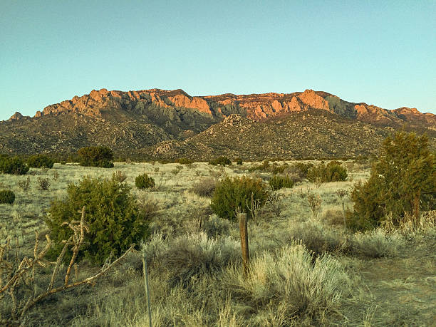 istock new mexico nature landscape retro 515085996