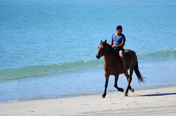 Matai Bay, New Zealand - January 30, 2014: Man rides horse bareback in Matai bay on January 29, 2014. It's a famous travel destination in northland New Zealand.