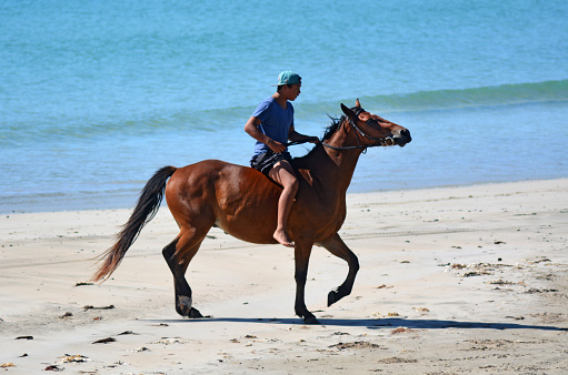 Wide view side shot of a woman horseback riding along the beach in the North East of England. The scene is tranquil and calm.