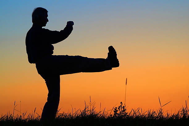 istock Man practicing karate on the grassy horizon after sunset. 515086316