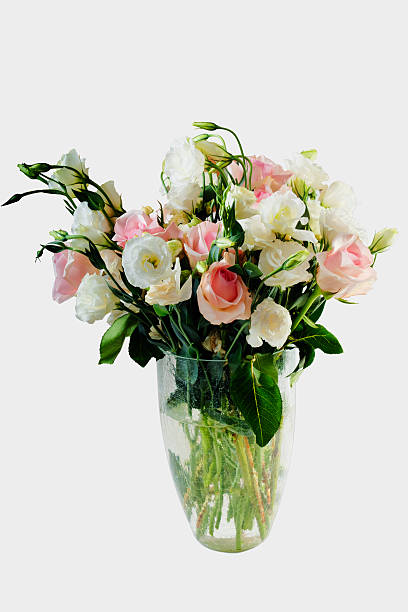 istock White flowers in a vase isolated 515086490