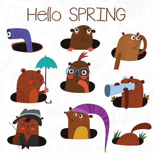 Happy Groundhog Day design with cute groundhog. Happy Groundhog Day design with cute groundhog. Lovely card with cute groundhog for your design. groundhog day clock stock illustrations