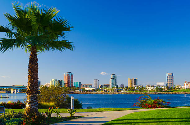 skyline von long beach und palm-baum - long beach california lighthouse los angeles county stock-fotos und bilder