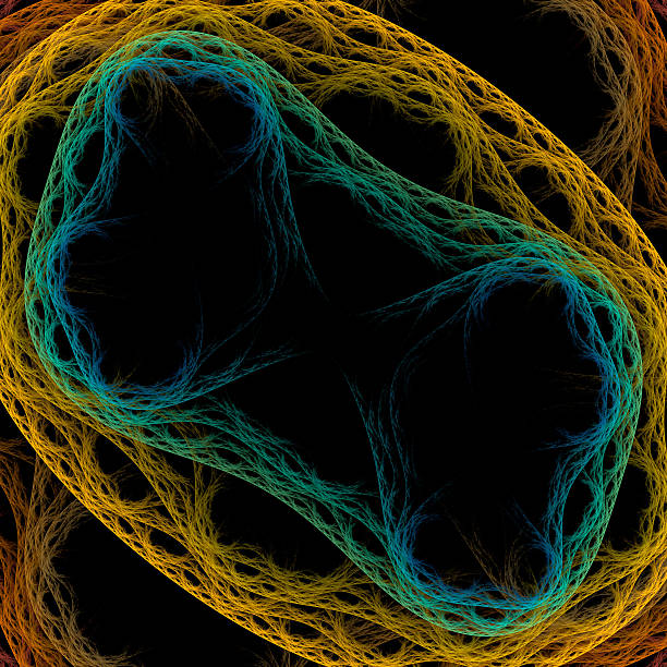 istock Symmetrical growth of bacteria 515141339