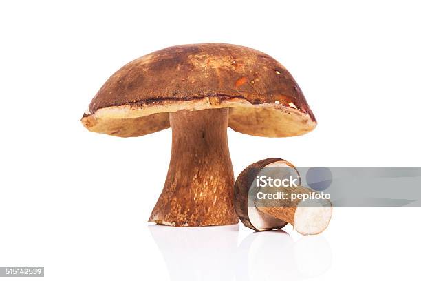 Mushroooms Stockfoto und mehr Bilder von Boletus Sp - Boletus Sp, Braun, Drei Gegenstände